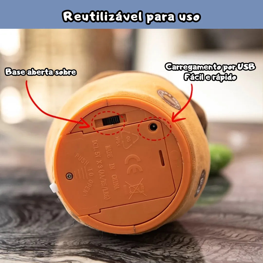 cacto-que-dancam-055