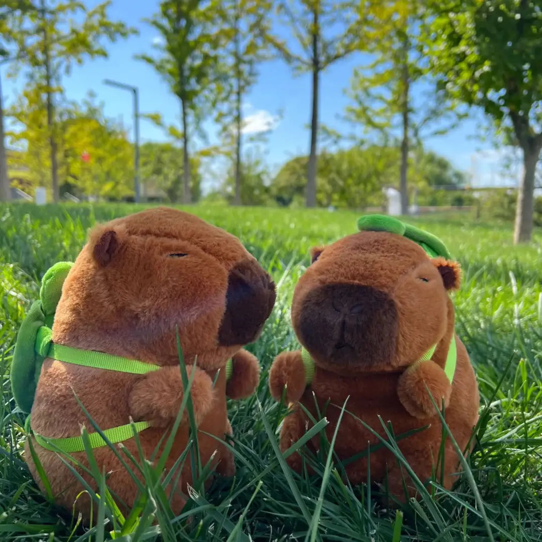 urso-de-pelucia-pequeno
